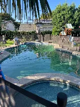 Special Techs Pool & Spa Service