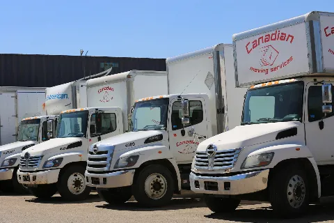 Canadian Moving Services photo 1