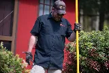 D-Bug Pest Control, Inc. photo 6