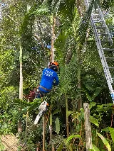 Affordable Tree Service, Inc. photo 7