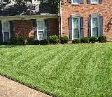 Serene Scenes Lawn and Landscape LLC photo 2