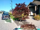 VitaNova Landscape Ltd. photo 10