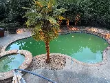 Top Notch Pool Management photo 8