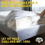Priority Pest & Mosquito Solutions photo 7
