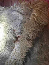 A1-Termite & Pest Control photo 6