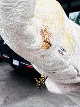 Ok Pest Control photo 5