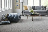 Alexanian Carpet & Flooring & Rug Cleaning photo 5