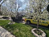 Lawnade Lawn Care Service of Grosse Pointe photo 7