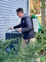 Modern Solutions Pest Control photo 7