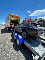 Rock Steady Movers photo 4
