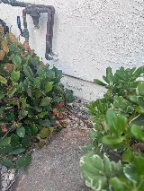Joshua's Pest Control photo 8