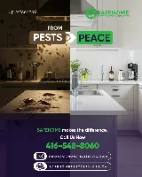 Safe Home Pest Control Incorporation photo 8