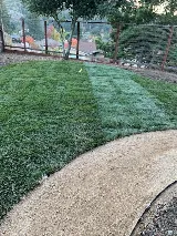Rafael's Landscaping photo 6