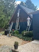 Litehouse Painting photo 4