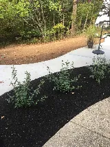 Four Seasons Landscape Management photo 3