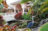 Natural Wonders Landscaping