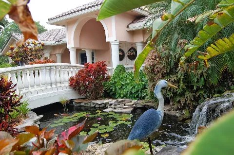 Natural Wonders Landscaping in Coral Springs
