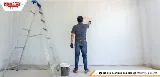 Mister Paint photo 7