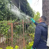 No Bugs Termite and Pest Control Inc. photo 6