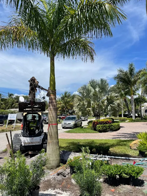 Del Mar Landscaping Inc. in Delray Beach