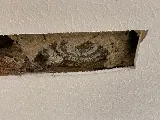 Alford Pest Control photo 2