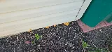 Chem-Wise Pest Control photo 4