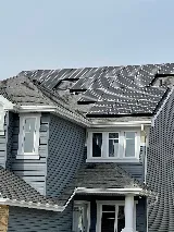 Pestlink Pest Control Edmonton Inc