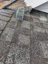RainCity Pest Control photo 4