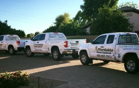 Affordable Pest Control in San Tan Valley