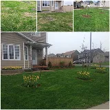 Nutri-Lawn St. John's photo 3