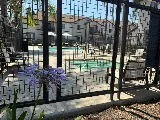 Legacy Pool & Spa photo 2