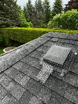 Diamo Pest & Wildlife Control photo 6
