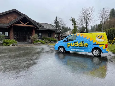 Puddle Pool Services in Surrey