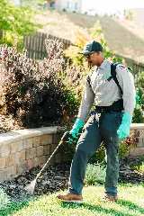 Pro Active Pest Control photo 3