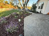 Greenway Landscape Design & Build photo 4