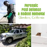 Versa-Tech Pest Management photo 2
