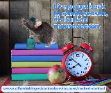 Affordable Pest Control Service photo 2