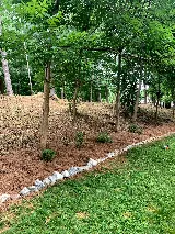 Lawn & Order Landscaping photo 5