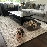 Nufloors Maple Ridge photo 6