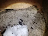 Ultimate Pest Solutions - Pest Control Vaughan photo 7
