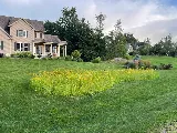 Old World Garden Design photo 4