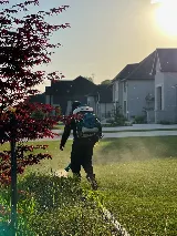 Gray Wolf Pest Control photo 6