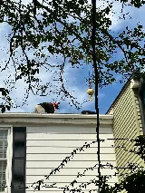 Air Therm LLC photo 8