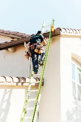 Pro Active Pest Control photo 8