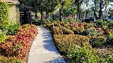 Landscape Pro photo 2
