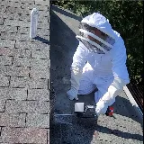 Eco Tech Pest Control photo 3