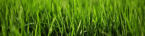Lawn Tech photo 1