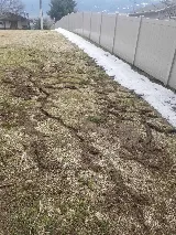 Guardian Pest Control photo 7