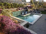Thomas Pools photo 4