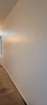 Lee House Painter and Repair Katy photo 8